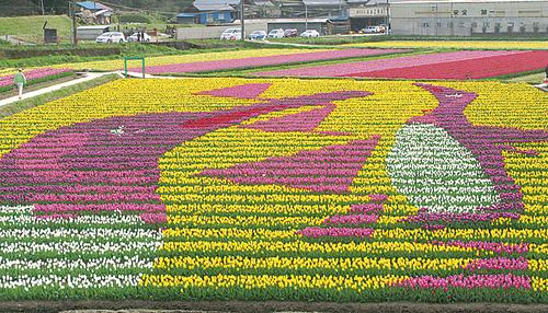 Tantou Tulip Festival de 2008, Tema: Pinguim