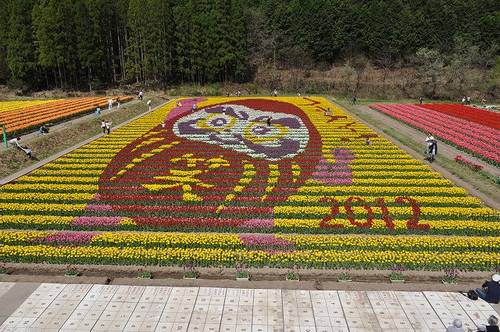 Tantou Tulip Festival de 2012, tema Genkin Daruma