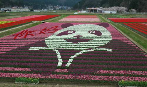 Tantou Tulip Festival de 2009, tema Panda