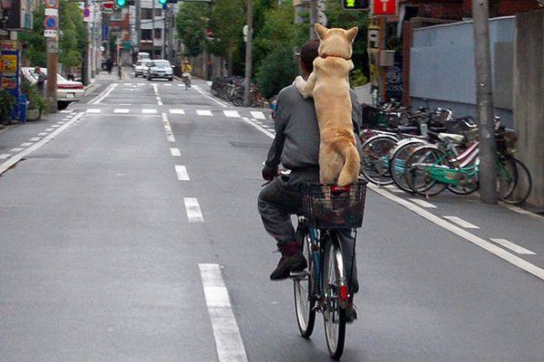 Cultura da bicicleta no JapÃ£o