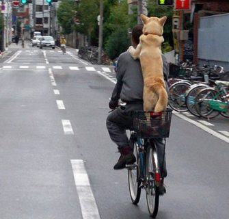 Cultura da bicicleta no Japão