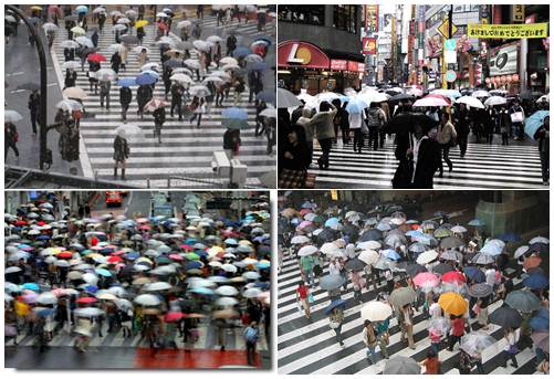 Tsuyu, estação chuvosa no Japão fotos