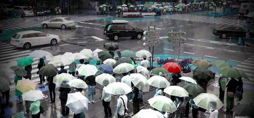 guarda-chuva transparente no Japão 