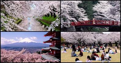 Primavera no Japão Haru