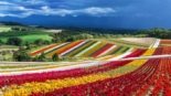 Fazenda Shikisai-no-oka, em Hokkaido