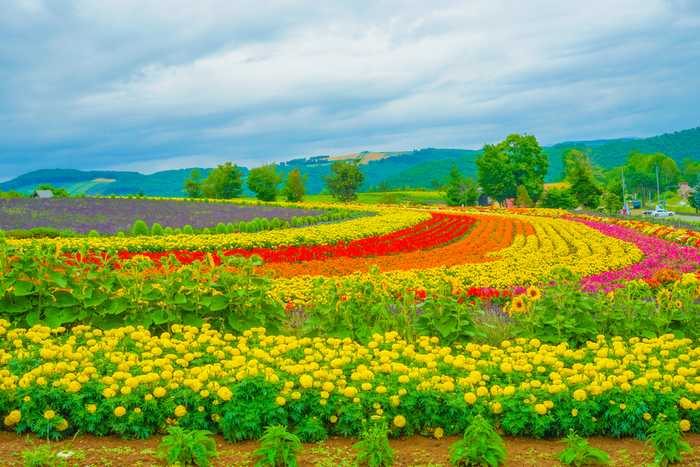 Zerubu Hill , Zerubu no oka, Hokkaido 