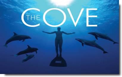 the cove - A enseada