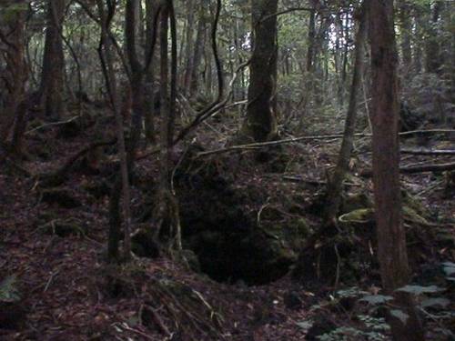 Aokigahara-jukai