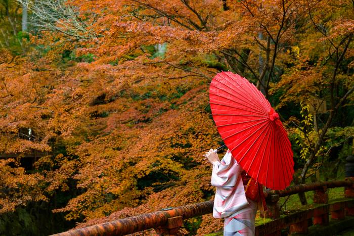 Outono no Japão 