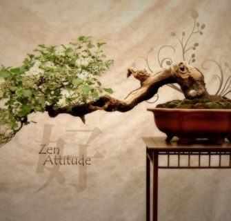 Atitude zen - Wabi Sabi