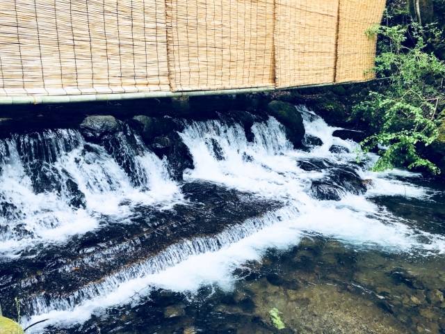 Kibunesou Kawadoko, Kyoto 