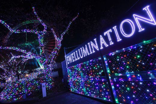 Yomiuri Land Jewellluimination 