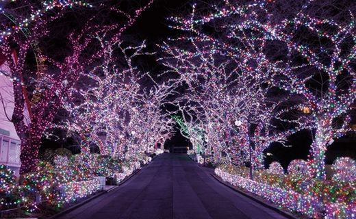 Yomiuri Land Jewellluimination 