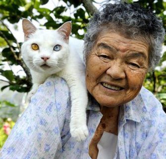 Miyoko Ihara Misao the Big Mama and Fukumaru the Cat