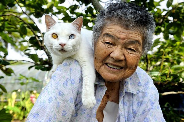 Miyoko Ihara Misao the Big Mama and Fukumaru the Cat