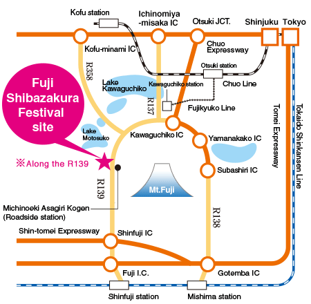 Mapa Fuji Shibazakura Festival