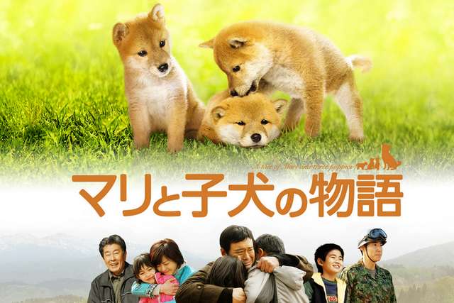 A Tale of Mari and Three Puppies (Mari e seus três filhotes)