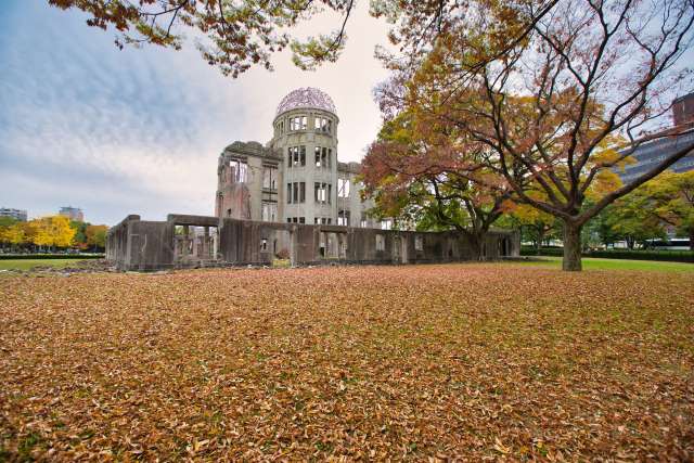 Ginkgo da Paz em Hiroshima