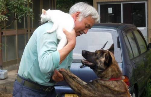 Naoto Matsumura, o guardião dos animais de Fukushima