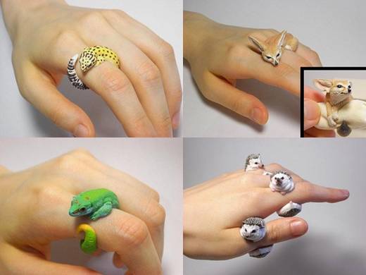 Anéis Criativos de Animais de Jiro Miura