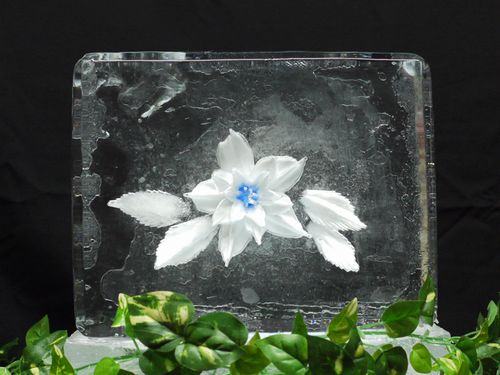 Floral Ice 4