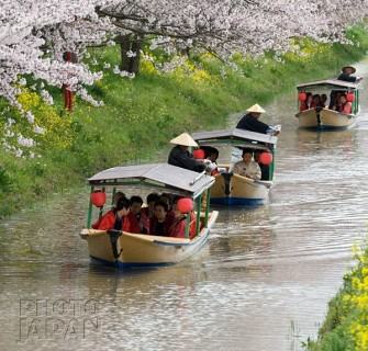 Passeio turístico em rio de Shiga