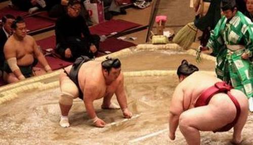 Sumo