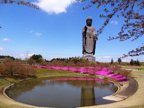 Ushiku Daibutsu, a estátua mais alta do Japão