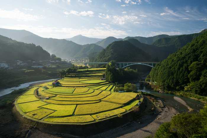 Aragishima rice terraced field, Wakayama