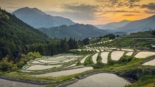 Maruyama Senmaida, em Mie