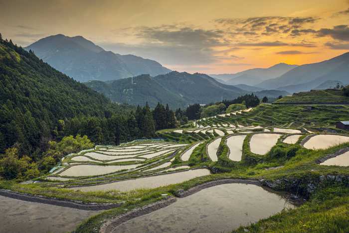 Maruyama Senmaida, em Mie