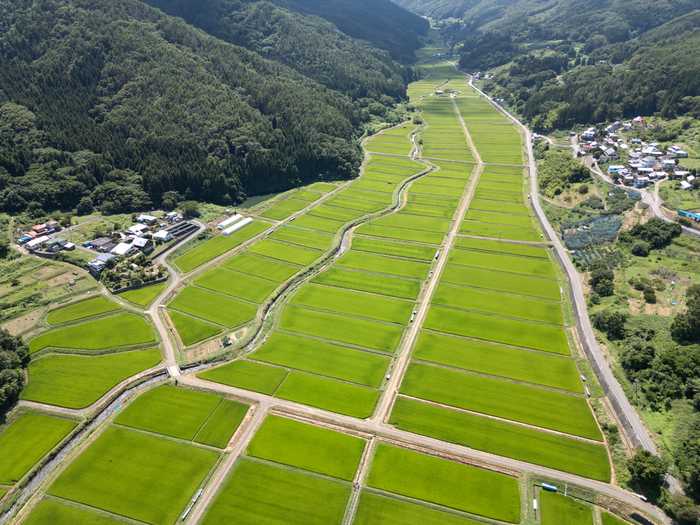 Terraços de Arroz Tanokuchi , em Nagano