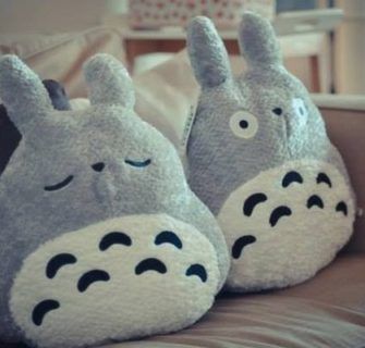 totoro