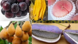 Confira algumas frutas exóticas para você experimentar no Japão