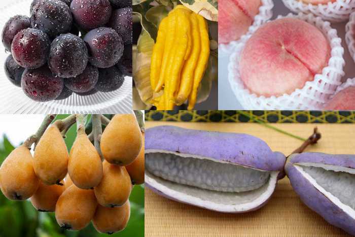 Confira algumas frutas exóticas para você experimentar no Japão