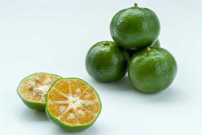 Shikuwasa fruta de Okinawa
