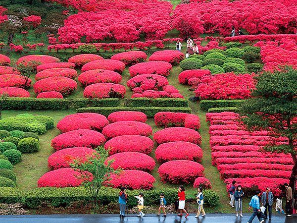 Komuroyama park