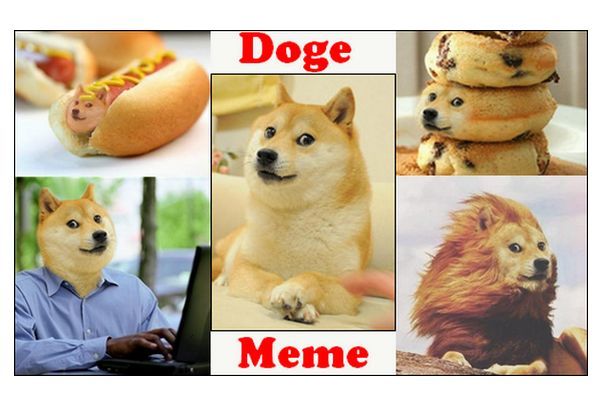 doge meme 