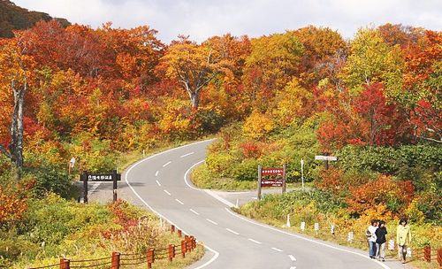 estrada entre Goshogake Onsen e Onuma Pond