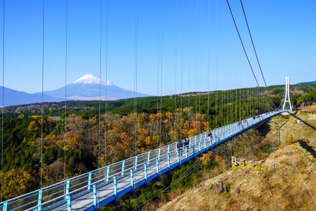 Mishima Sky Walk