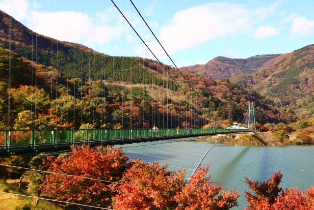 Momiji-dani Ohtsurihashi 