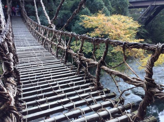 Vine Bridge Iya Valley 