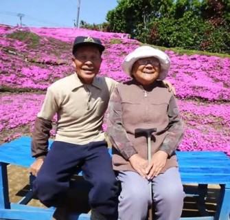 Japonês planta milhares de flores perfumadas para fazer sua esposa voltar a sorrir