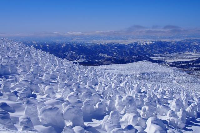 Os Cinco Melhores Resorts de Esqui e Snowboard do Japão