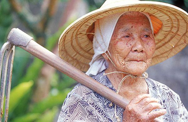 Os 100 Sobrenomes Mais Comuns de Okinawa