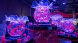 Art Aquarium Museum Ginza