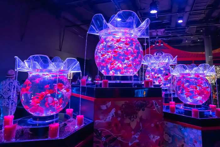 Art Aquarium Museum Ginza