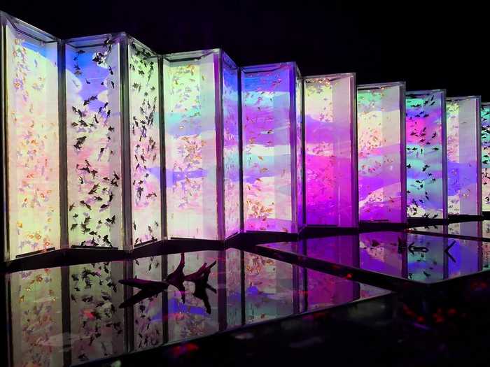 Art Aquarium Museum Ginza 