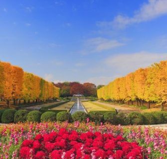 12 Lugares para apreciar o Outono no Japão