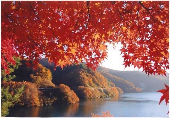 Momiji Lake, Nagano